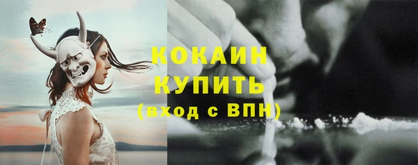 крисы Майский
