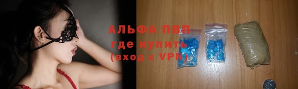 крисы Майский