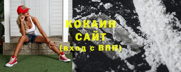 крисы Майский