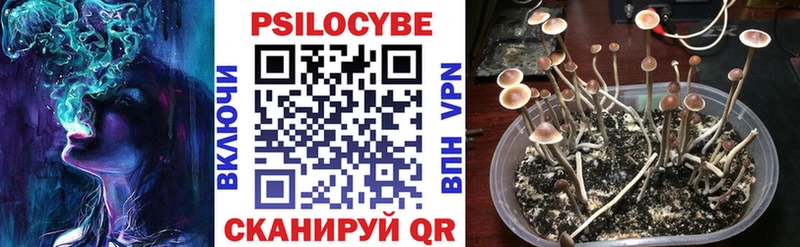 Купить где  Красавино  Псилоцибиновые грибы Psilocybine cubensis 